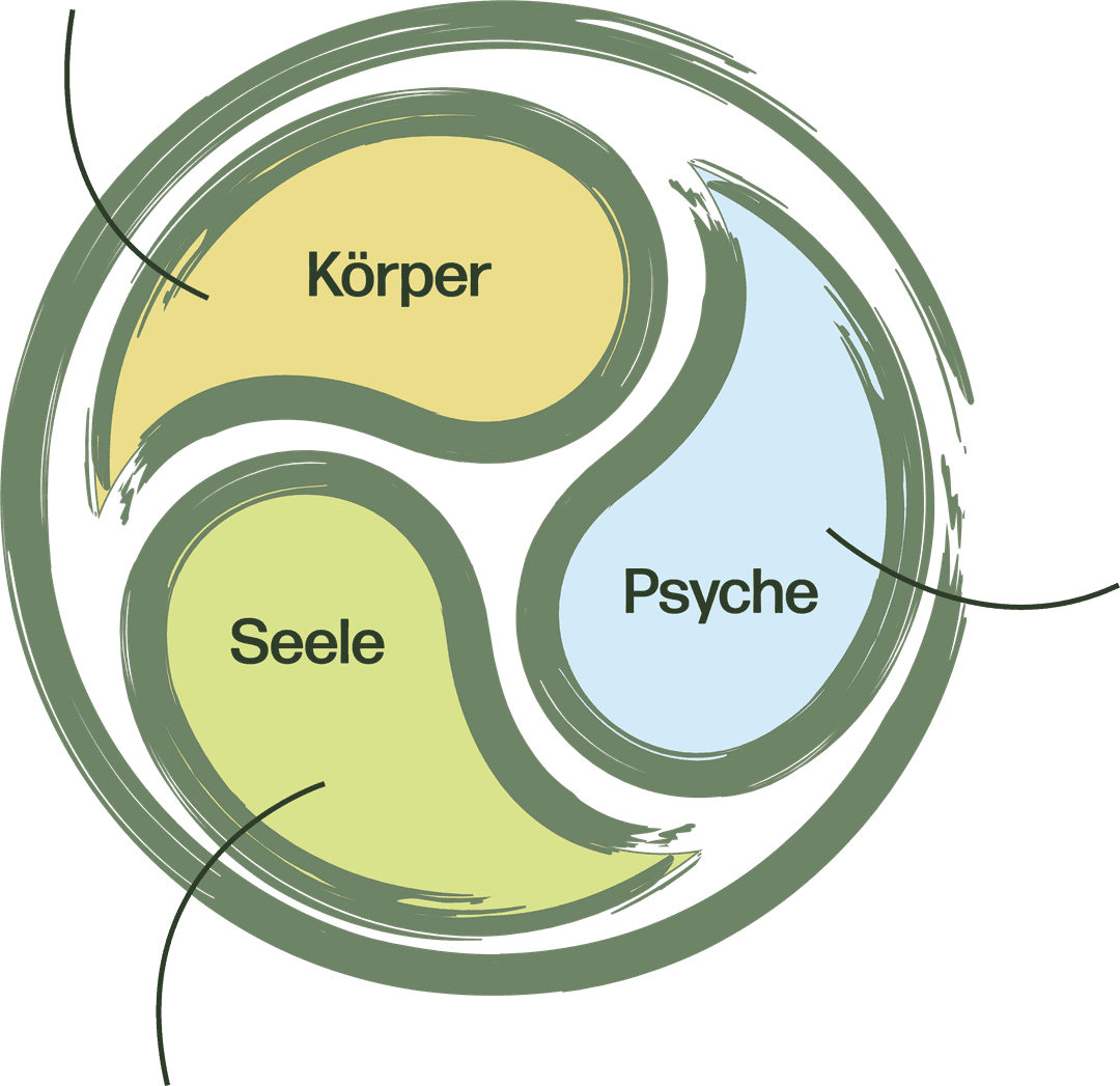 Körper Seele Psyche Diagram - Berührt Bewegt Begleitet
